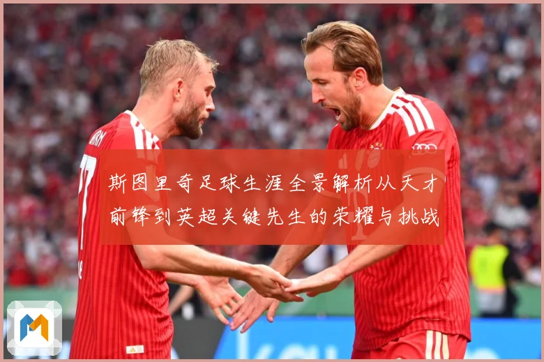 斯图里奇足球生涯全景解析从天才前锋到英超关键先生的荣耀与挑战-深度解析