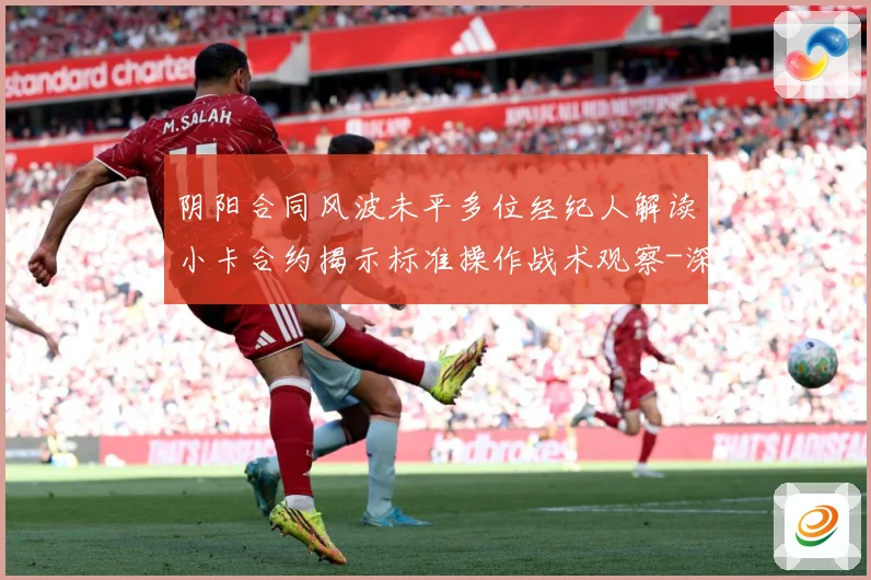 阴阳合同风波未平多位经纪人解读小卡合约揭示标准操作战术观察-深度解析