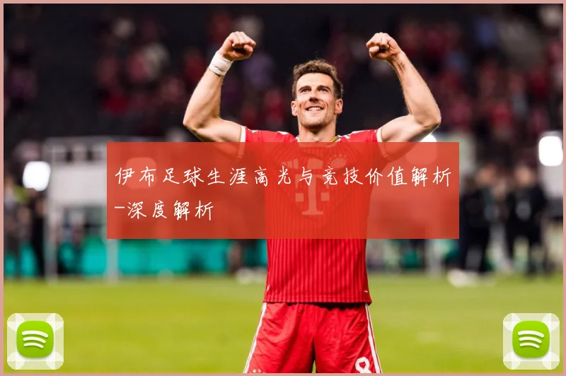 伊布足球生涯高光与竞技价值解析-深度解析